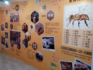 蜂之鄉-蜜蜂生態教育館